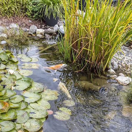 Griesbaum Apartamento Tengen