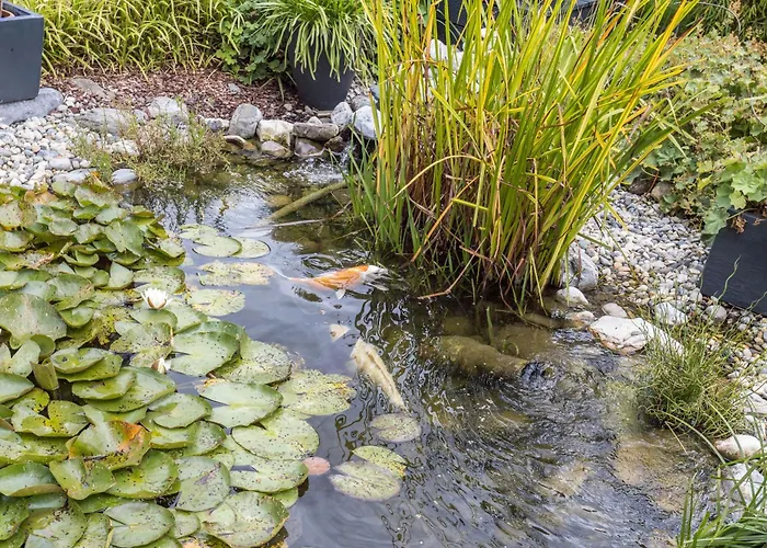 Griesbaum Appartement Tengen